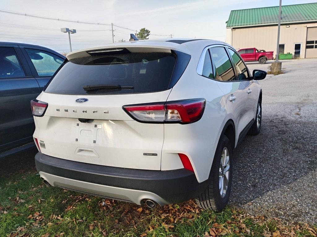 2022 Ford Escape SE Hybrid - Photo 4